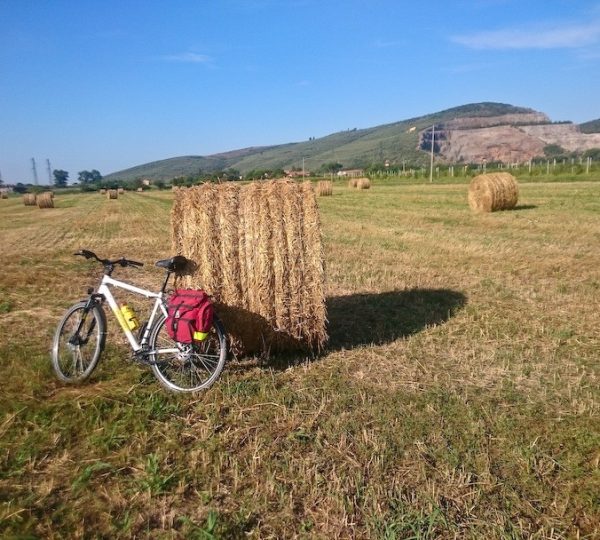 Monte Serra Road Bike Tour from Pisa – Iconic Climb & Panoramic Hills 9 tour guidato toscana