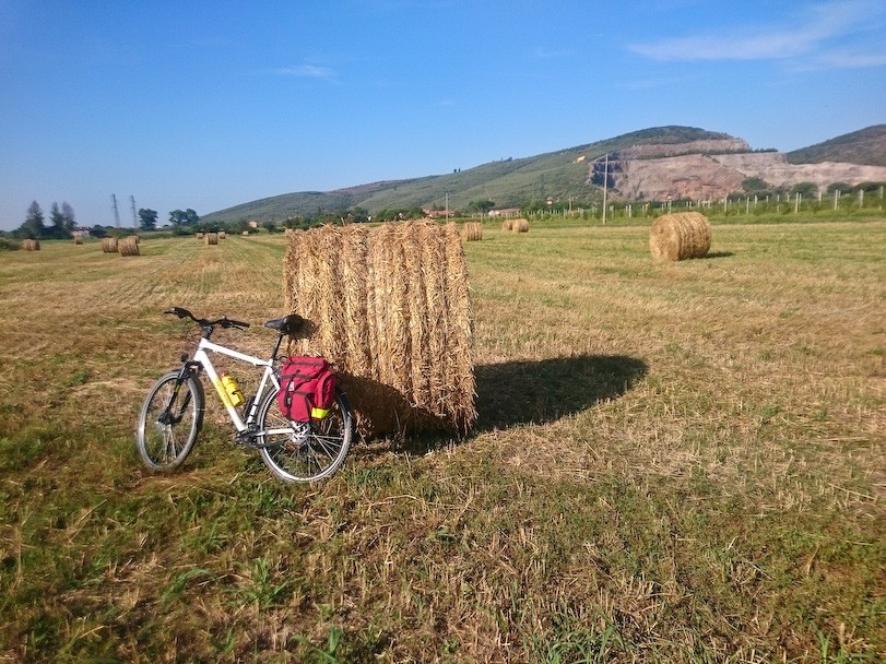 Monte Serra Road Bike Tour from Pisa – Iconic Climb & Panoramic Hills 9 tour guidato toscana