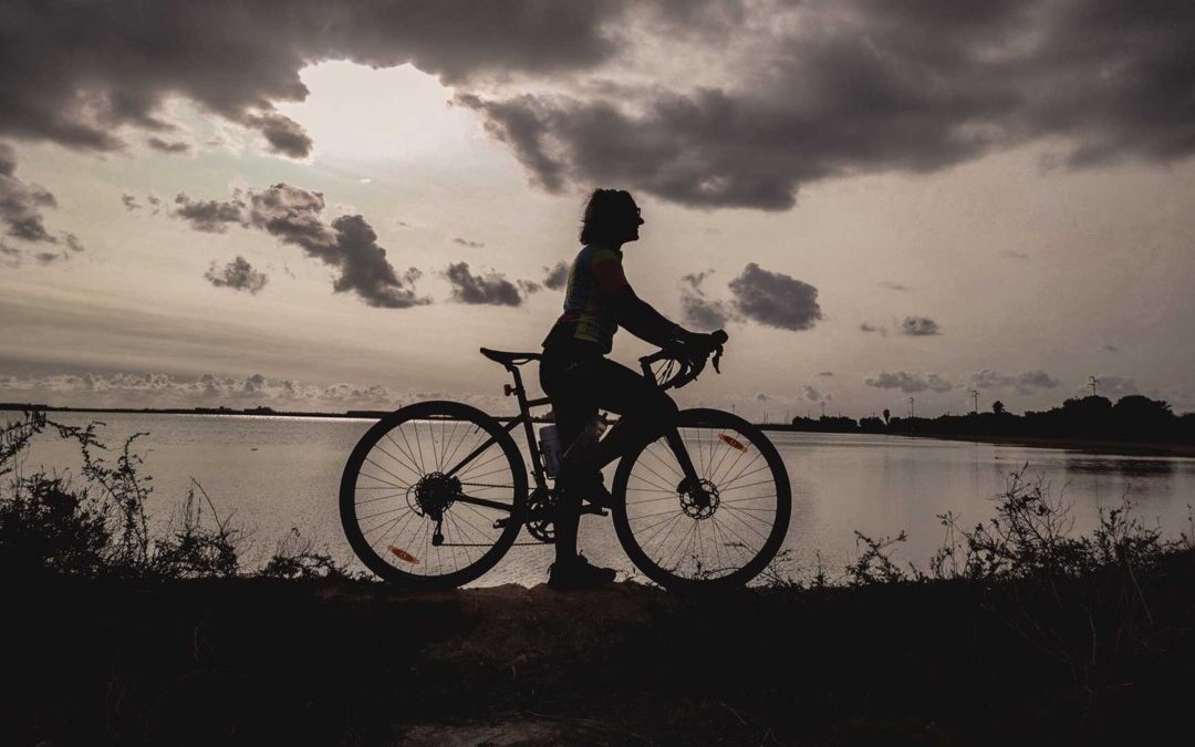 Bike & Wine to Lake Massaciuccoli: Tour of the Nature Reserve and Wine Cellars