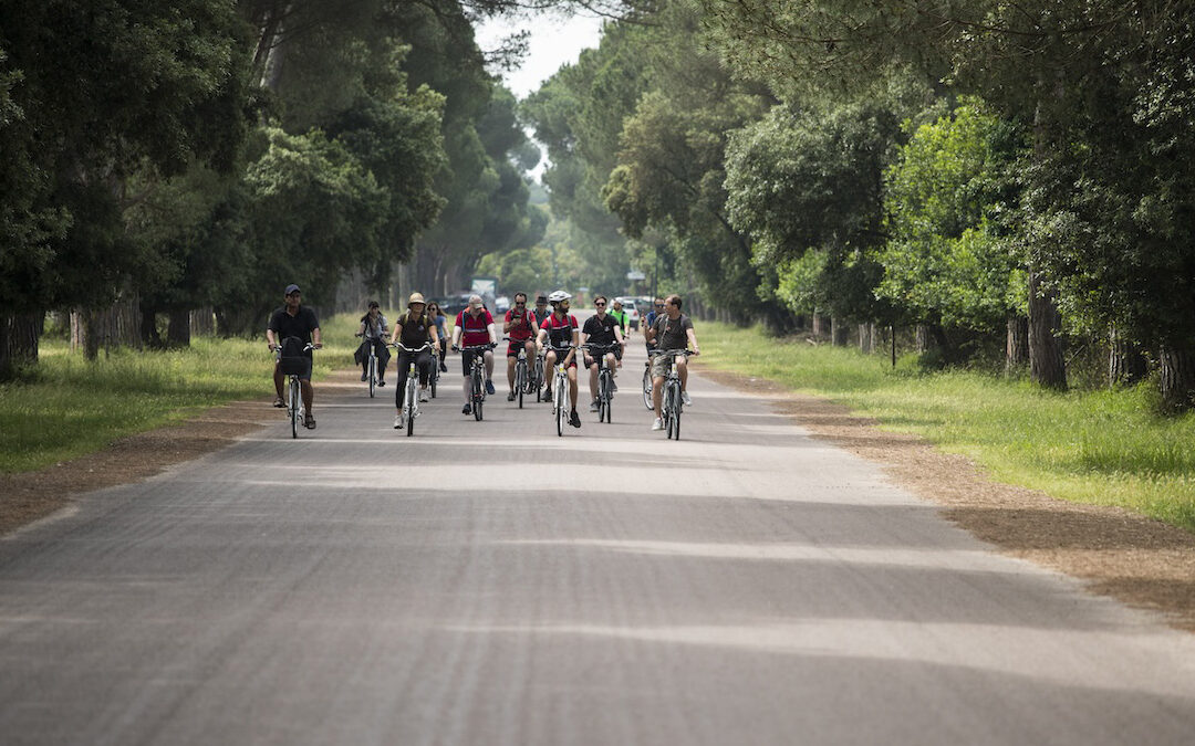 San Rossore Park Bike Tour from Pisa – Wildlife & Nature Self-Guided Ride