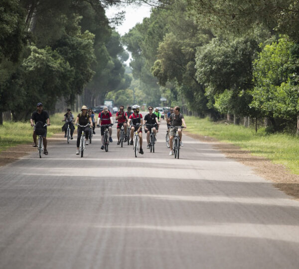 San Rossore Park Bike Tour from Pisa – Wildlife & Nature Self-Guided Ride 8 san rossore 2