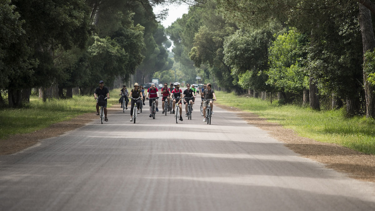 San Rossore Park Bike Tour from Pisa – Wildlife & Nature Self-Guided Ride 8 san rossore 2