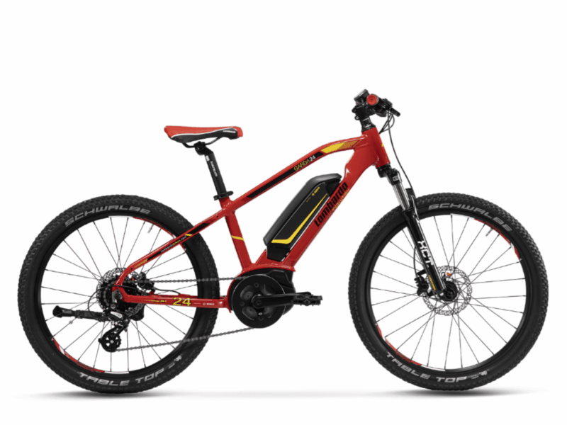 Kids E-MTB 2 Kids E-MTB